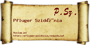 Pfluger Szidónia névjegykártya